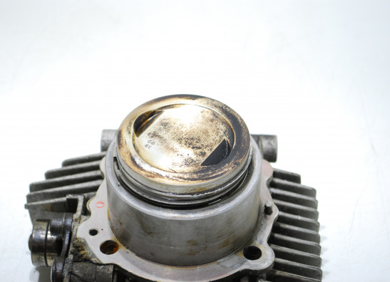 Cilinderblok Ducati monster 600