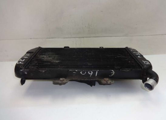 Radiator Yamaha FZ 750