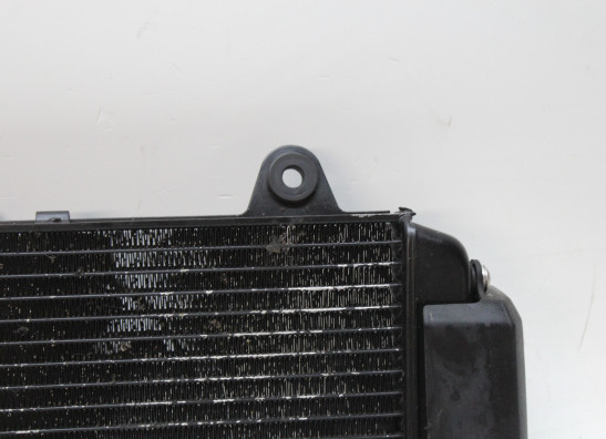 Radiator Yamaha MT 03