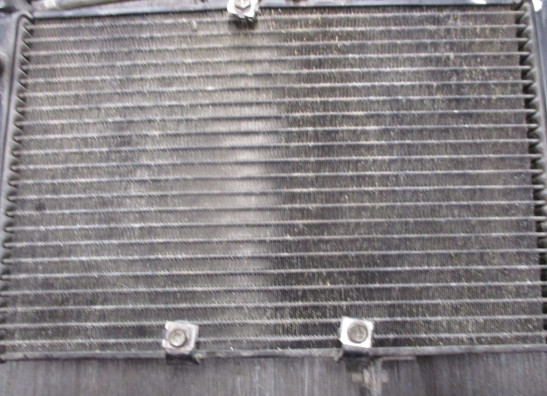 Radiateur Triumph Tiger 800