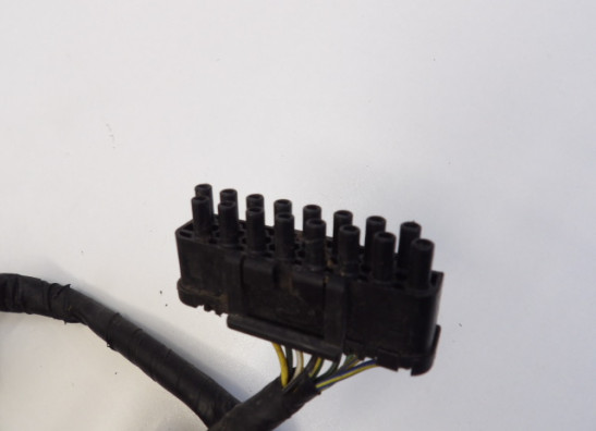 Kabelboom Honda CBR 600 F