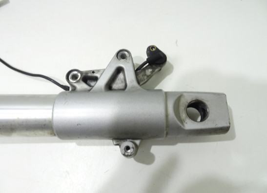 Standrohr Gabelholm rechts komplett BMW R 1200 RT