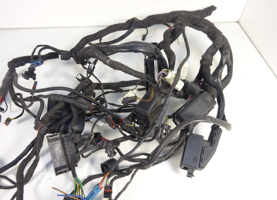 Wire Harness BMW R 1200 RT