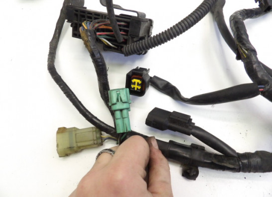 Wire Harness Suzuki GSF 650 Bandit