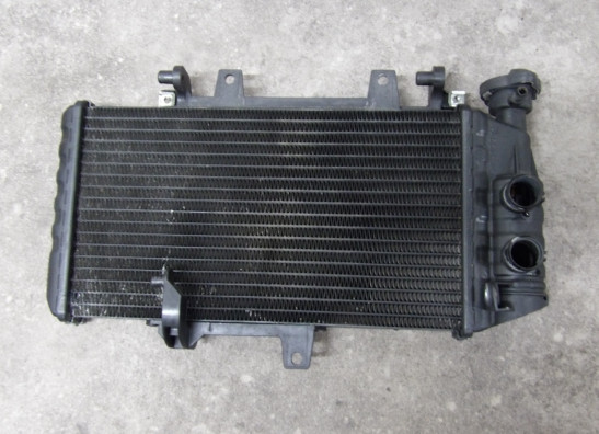 Kuhler BMW F 800 S - ST