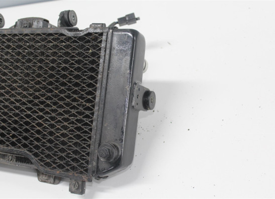 Radiator Yamaha TDM