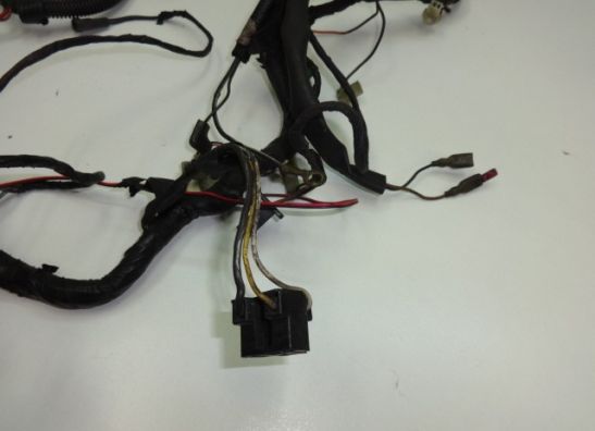 Kabelbaum Suzuki RF 600