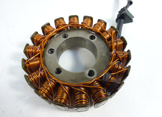 Dynamo KTM 690 Duke 4