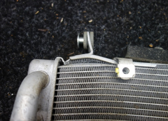 Kuhler Kawasaki Ninja 125