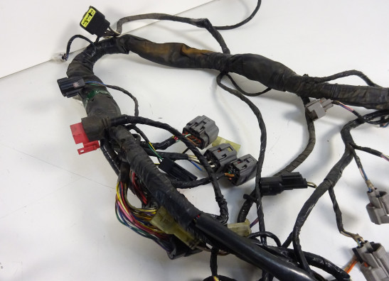 Kabelbaum Kawasaki Z 750