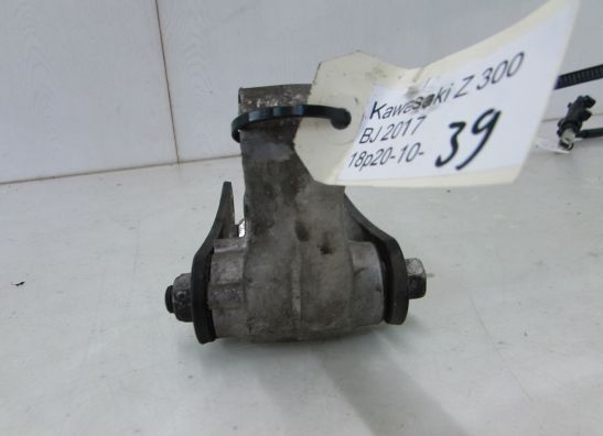 Achterbrug Kawasaki Z 300