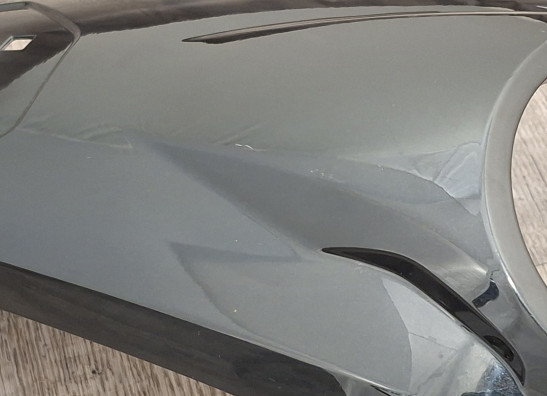 Tankschutz BMW R 1200 GS LC