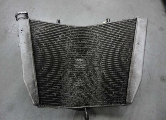 Kuhler Suzuki GSX R 600