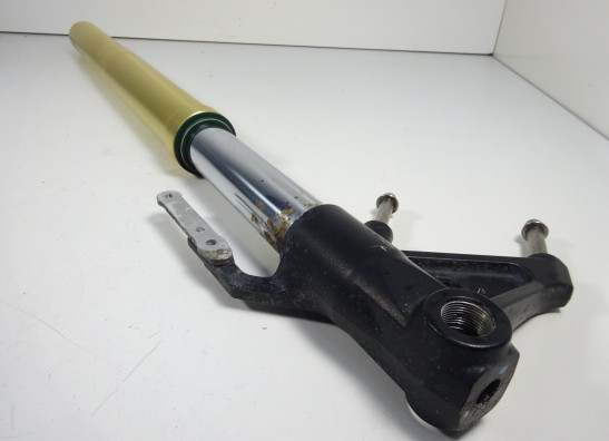 Front Fork left complete Triumph Tiger 1050