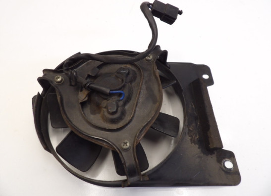 Fan Yamaha TDM