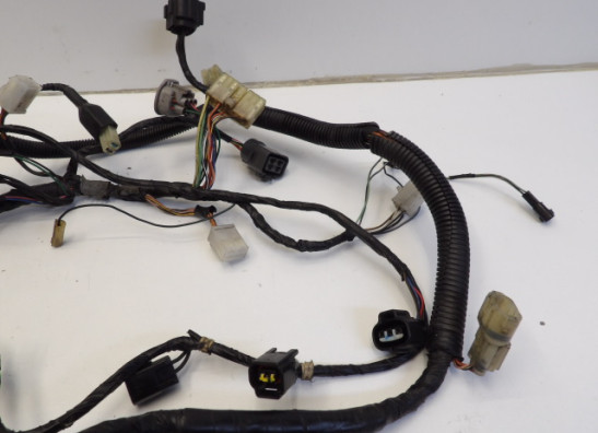 Wire Harness Suzuki GSX R 600