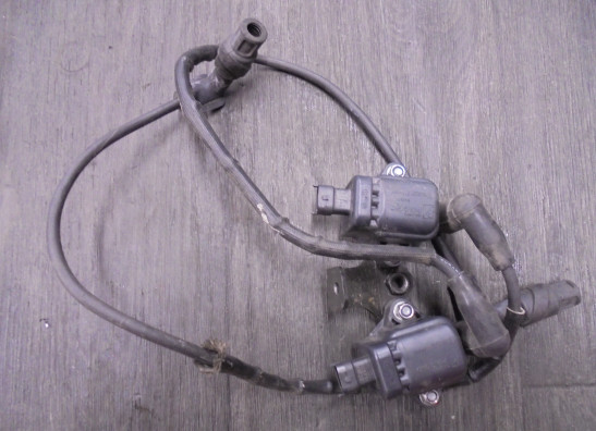 Bobine Moto Guzzi V85 TT