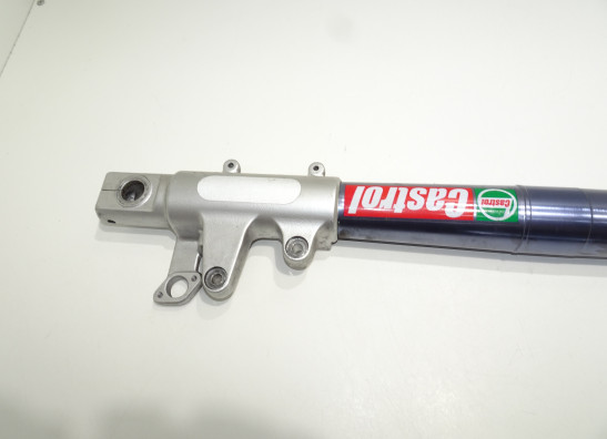 Voorpoot links compleet BMW R 1100 S