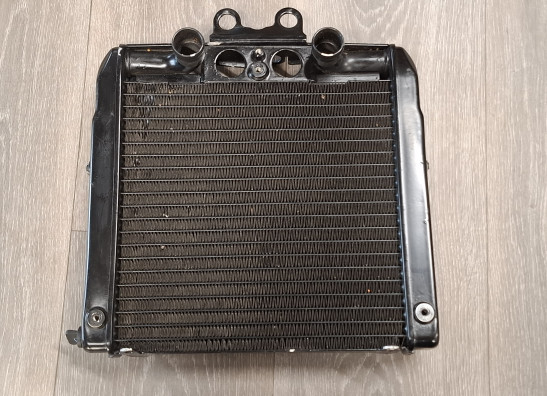 Radiateur Harley Davidson VROD VRSC