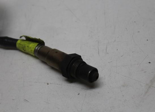 Lambdasonde KTM 790 Duke