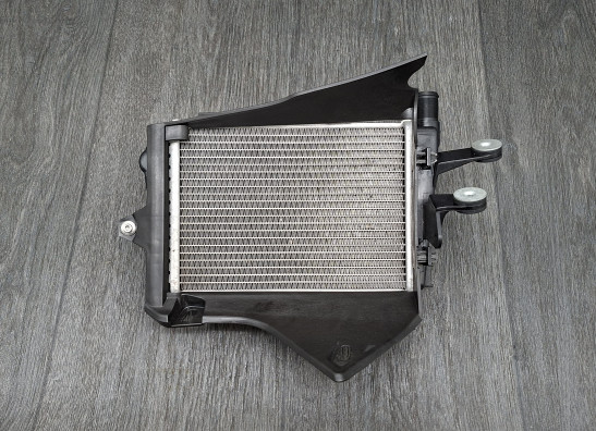 Radiator BMW R 1250 GS
