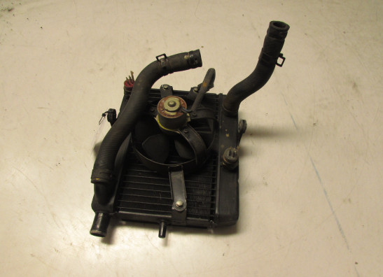 Kuhler Yamaha YP 250 Majesty