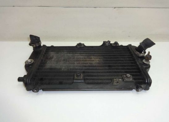 Kuhler Kawasaki EL 250