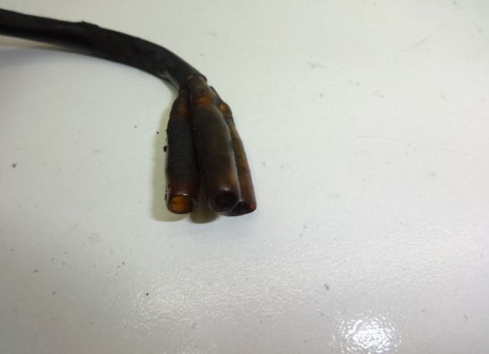 Dynamo Kawasaki ZEPHYR 550