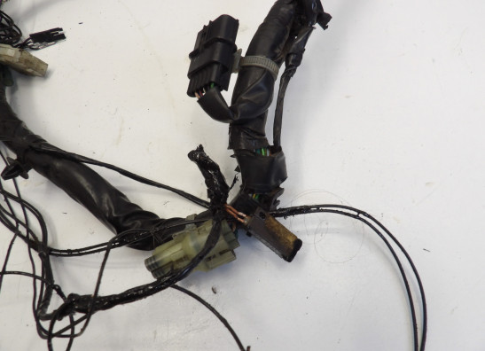 Kabelboom Honda CBF 1000