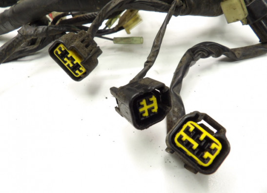 Kabelbaum Yamaha YZF 600 Thundercat