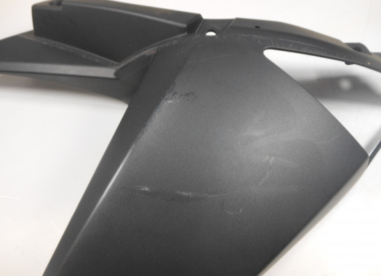 Seitenverkleidung rechts Kawasaki Z 1000