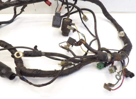Wire Harness Kawasaki ER 5