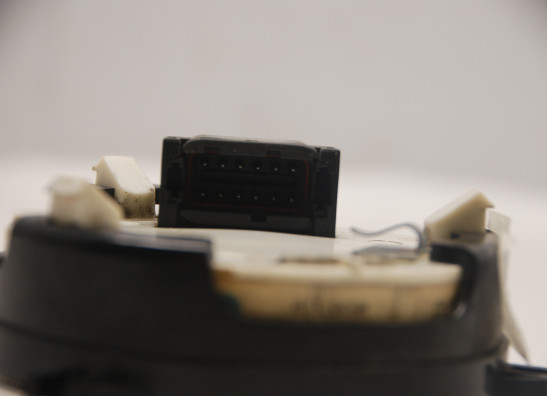 Teller Harley Davidson Softtail