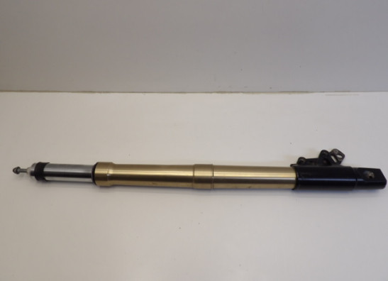 Standrohr Gabelholm links komplett BMW R 1200 GS