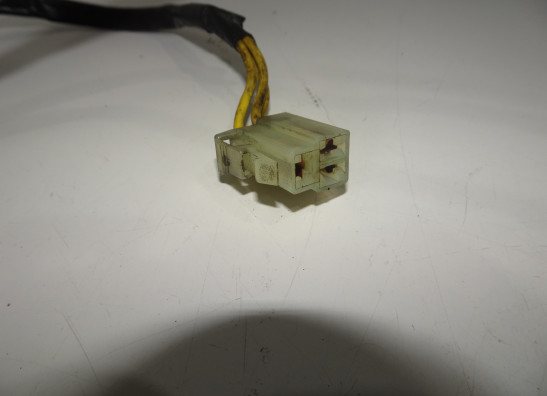 Dynamo Ducati Multistrada 1100