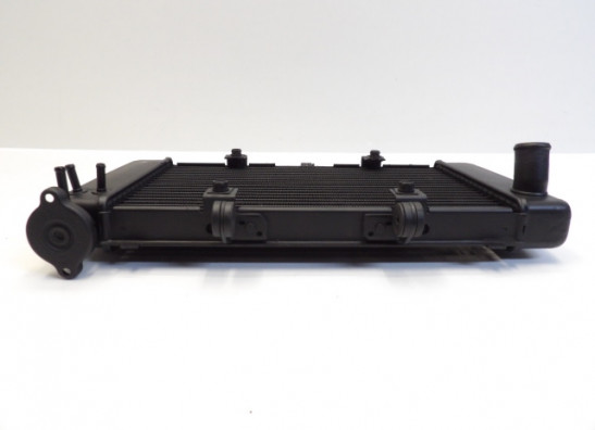 Radiateur Yamaha FZ6