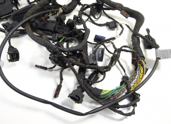 Kabelboom BMW K 1200 GT