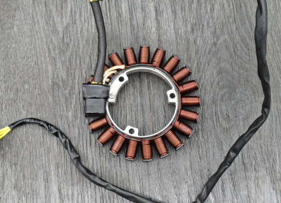 Lichtmaschine BMW R 1300 GS Adventure