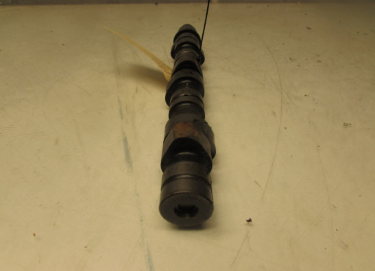 Nokkenas Honda Goldwing GL