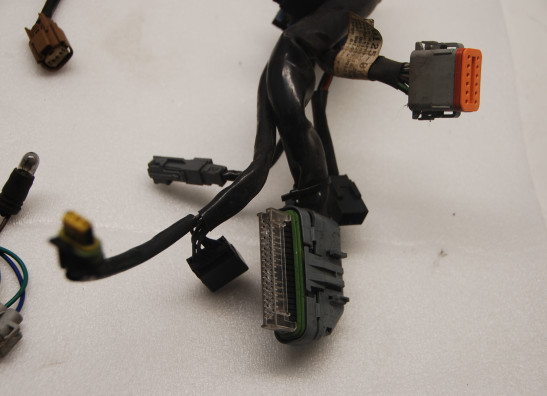 Kabelboom Harley Davidson VROD VRSC