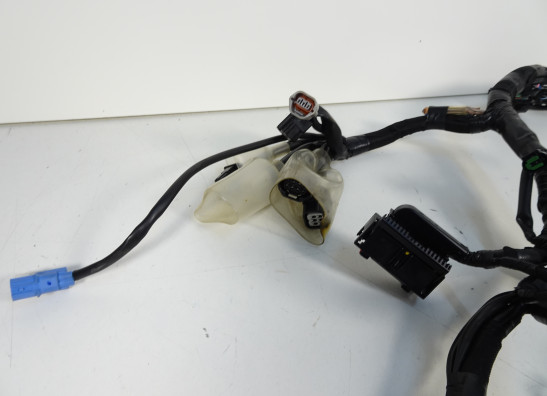 Kabelboom Kawasaki Ninja 650