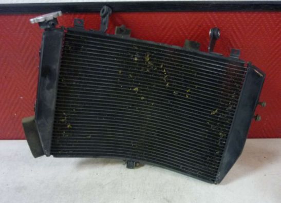 Radiateur Yamaha YZF R1