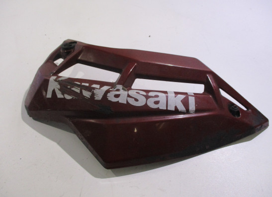 Cowl left small Kawasaki Z 900
