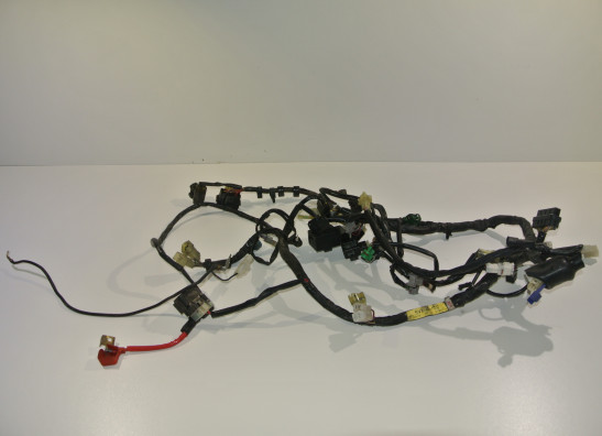Kabelbaum Yamaha FZ6