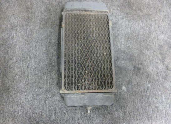 Radiator Kawasaki EN 500 Vulcan