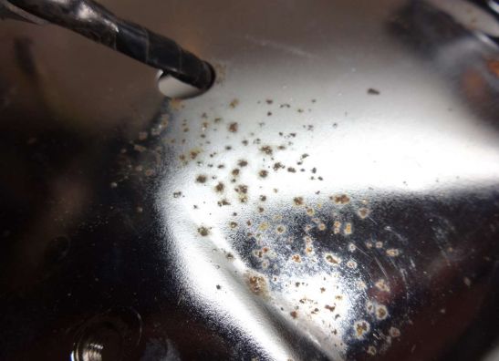 Hinterradabdeckung Kawasaki Z 1000