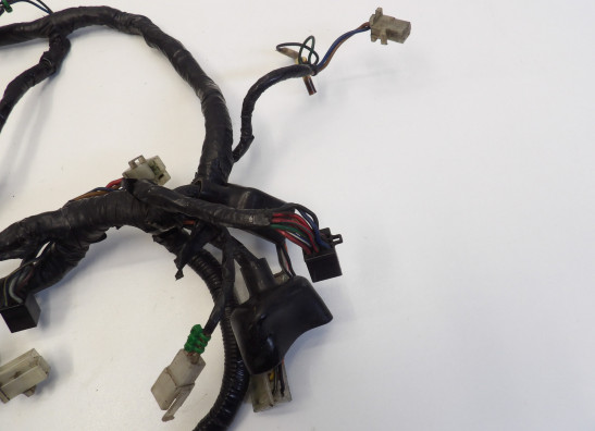 Wire Harness Yamaha V max
