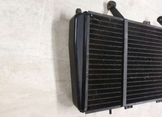 Radiateur Triumph Sprint ST 955