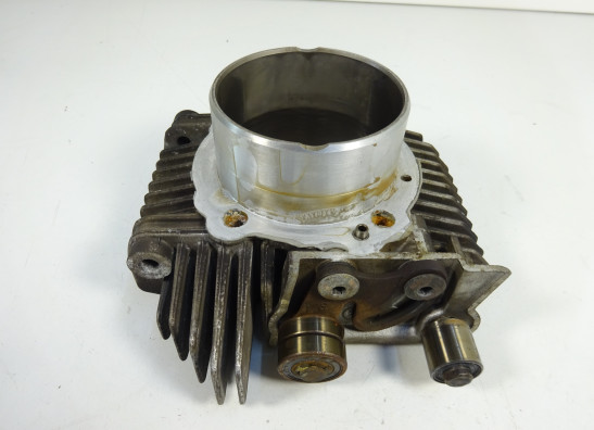 Cilinderblok Ducati Monster 695