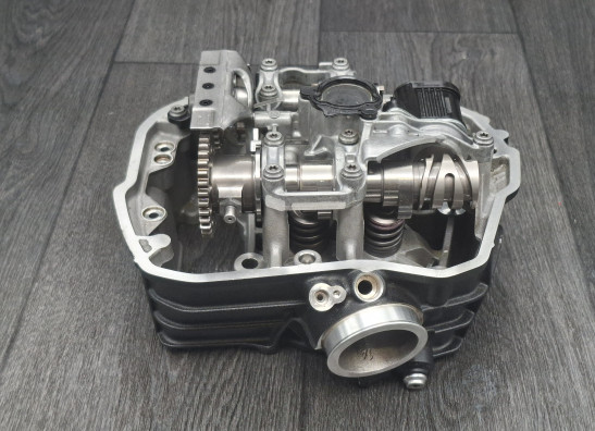 Zylinderkopf BMW R 1300 GS